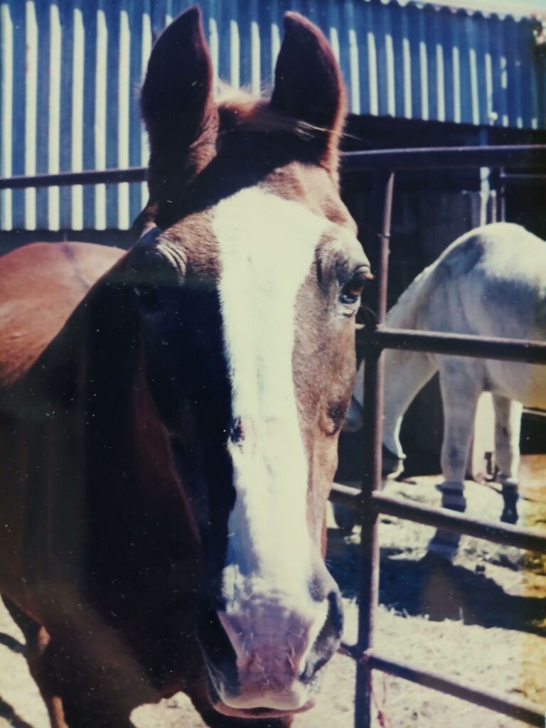 Dancer.1998