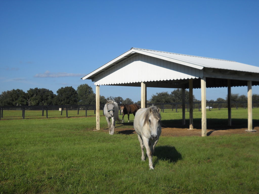 FL.field.shelter