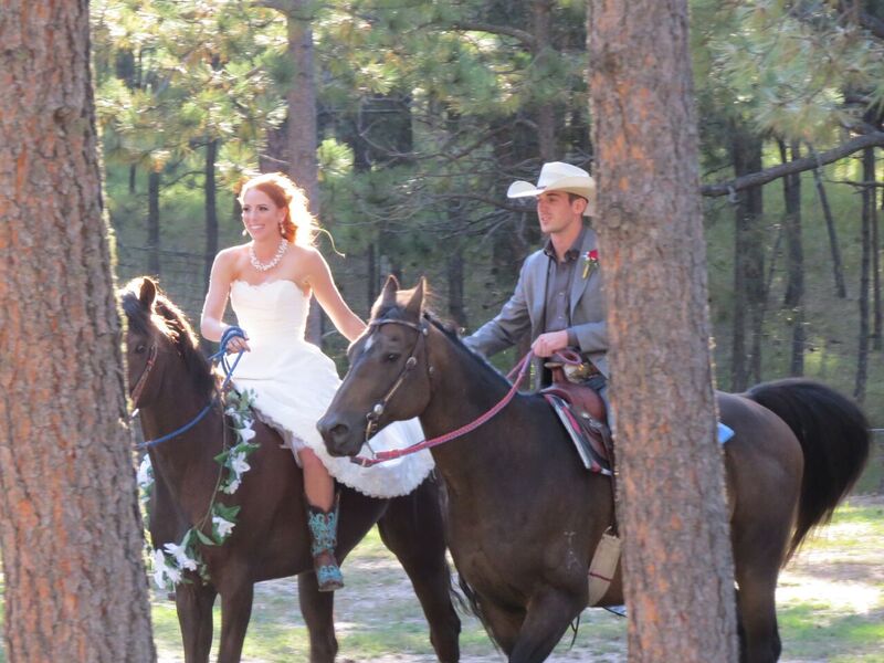 amara-wedding-horse