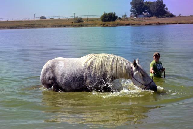 angus.water