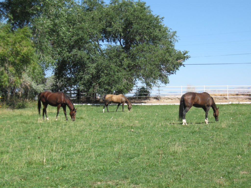 bacardi.newhome.sep2011