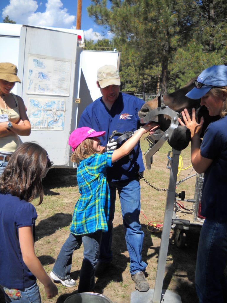 camp.2010.dental