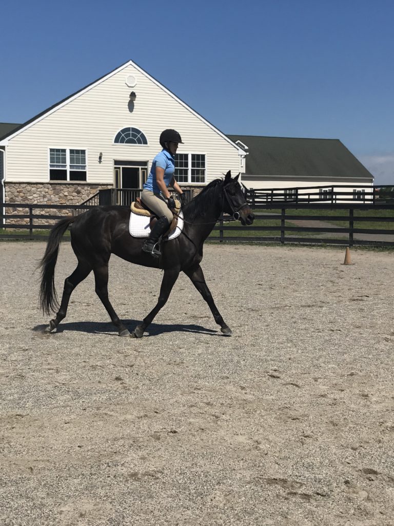 danny.arenaride.jun017