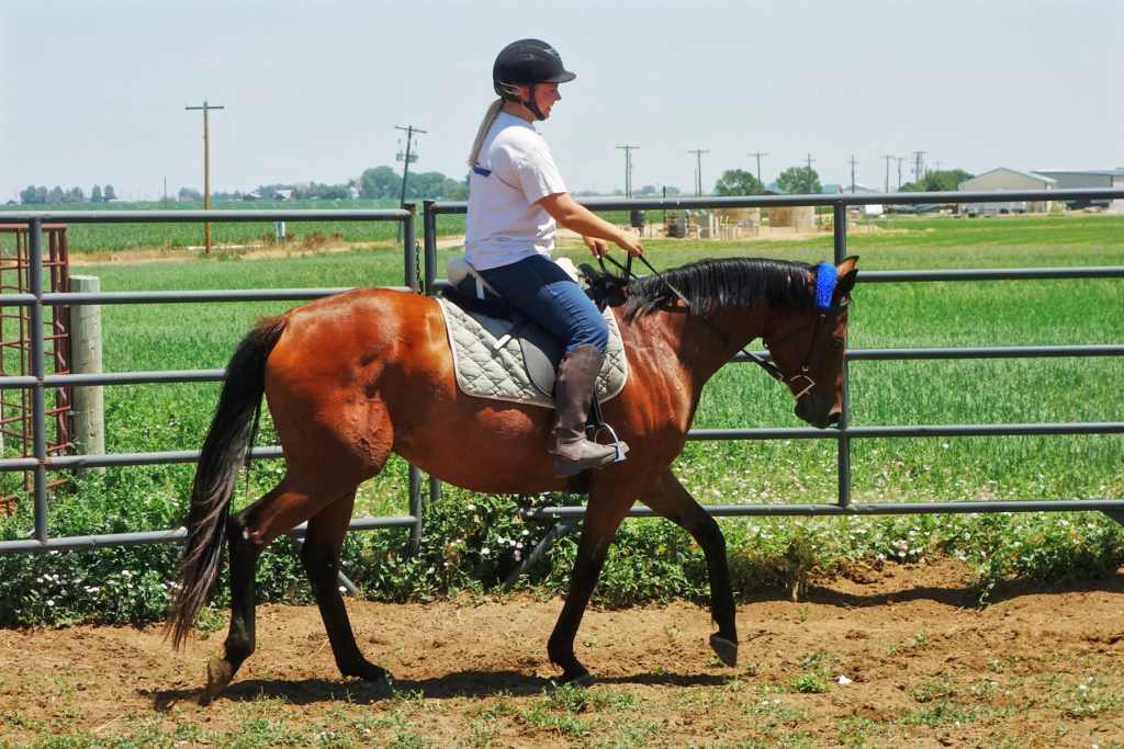 lulu.roundpen.jul017