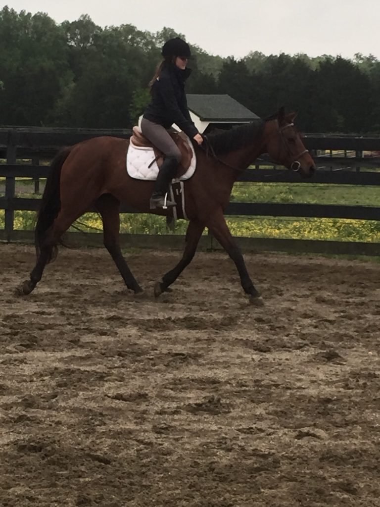 lulu.under.saddle