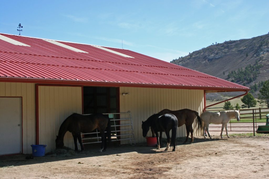 openhouse.08.barn.horses