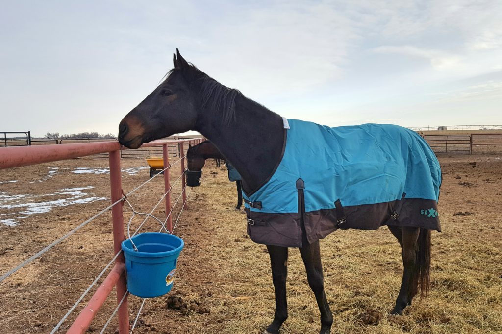 serena-blanket