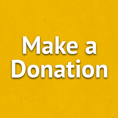 Donate to Save Horses Front Range Equine Rescue