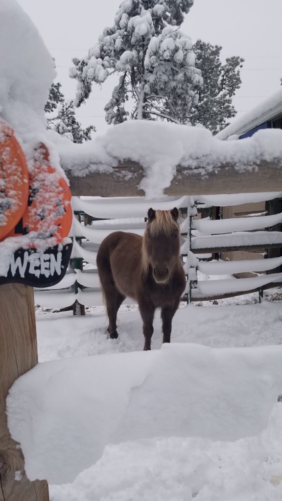 tilly.snow.oct2019