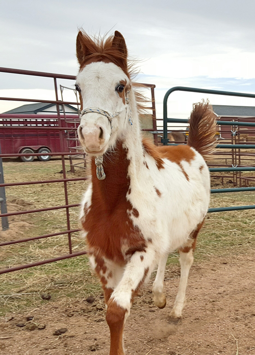 Just two months ago Melody seemed perfectly normal at 6 months old.