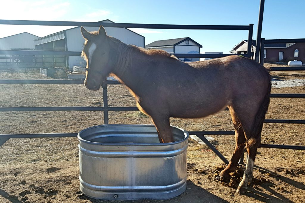 hanna.watertub.jan017