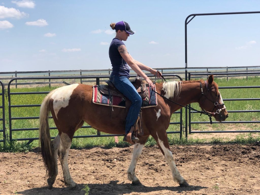 josie.walking.under.saddle