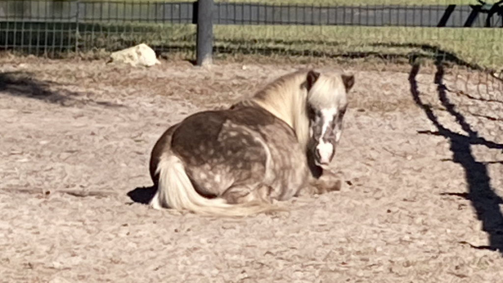 pierre.sunbath.nov2021