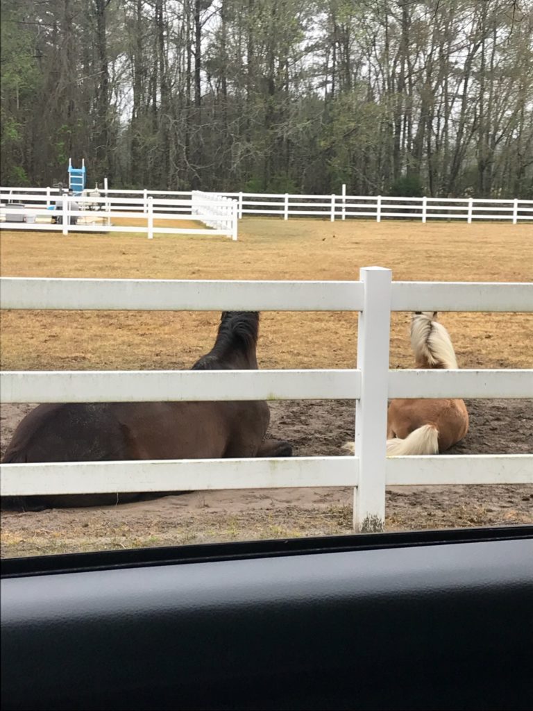 chico.kip.hangingout