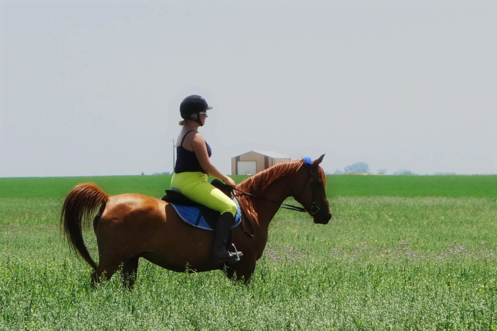 gretchen.fieldride.jul2017 (1)