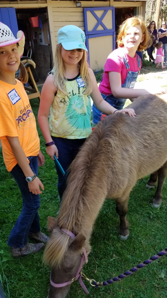 camp.girlscouts.tilly.groom (1)