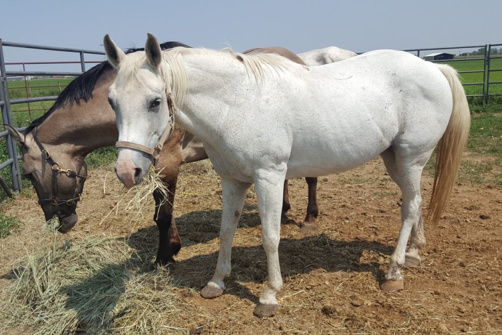 chloe.hay.friend.aug2018