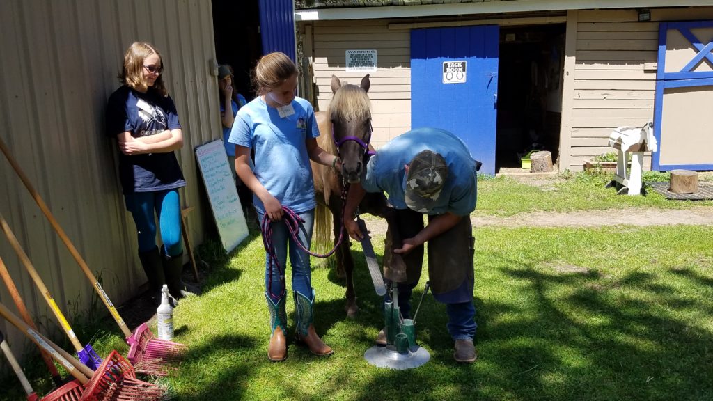 camp.2019.cricket.farrier