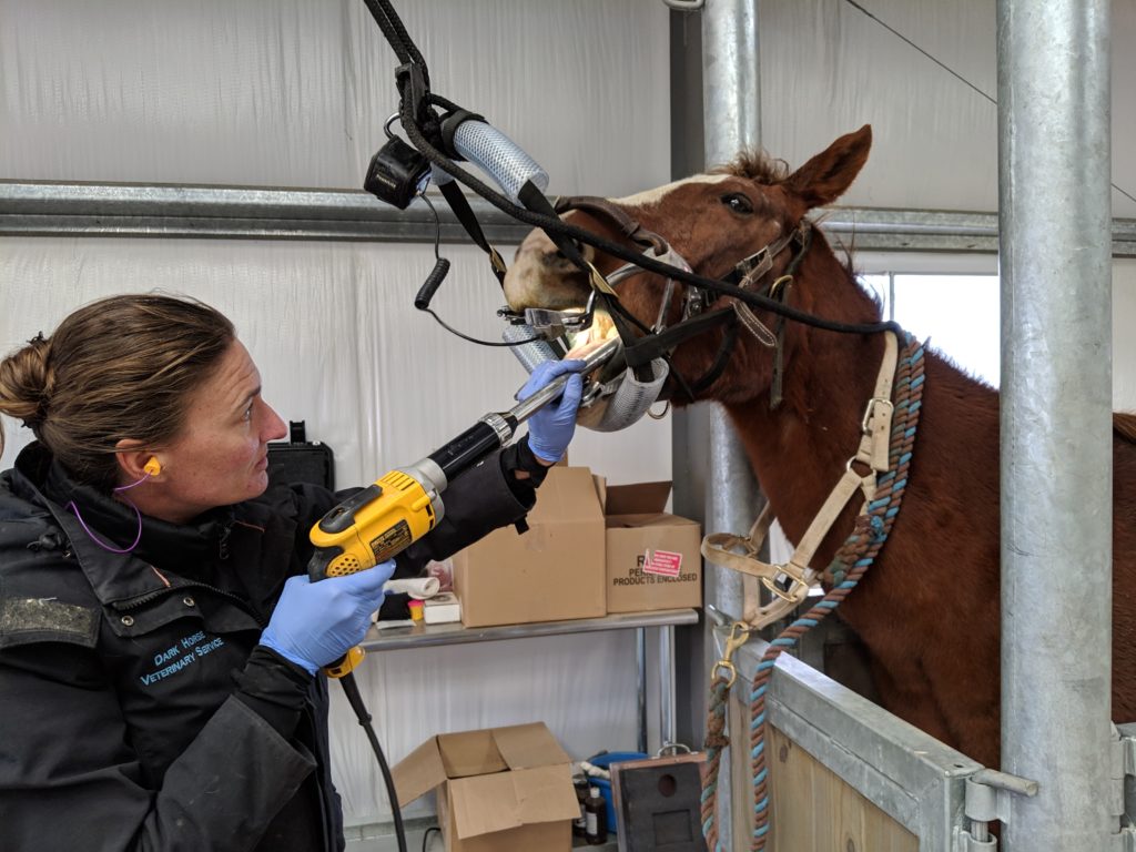 hawkeye.dental.nov2019