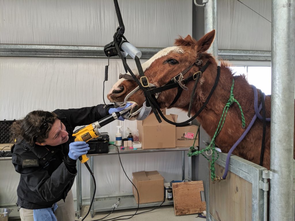 chester.dental.dec2019