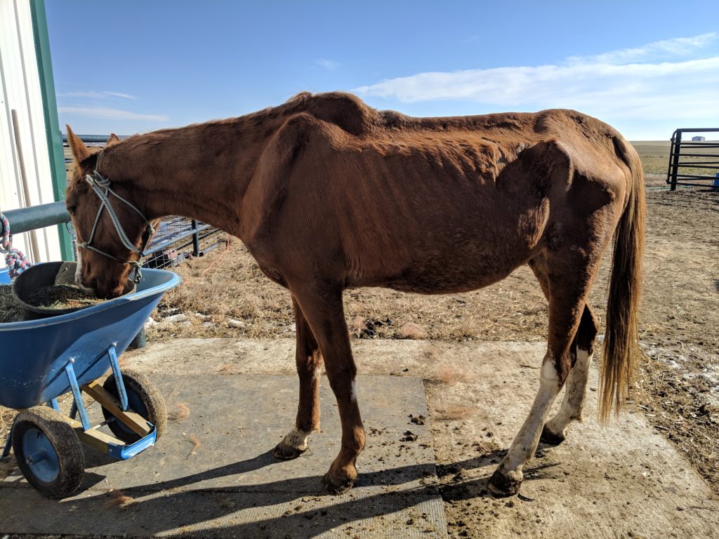 elijah.eating.nov2019 (1)