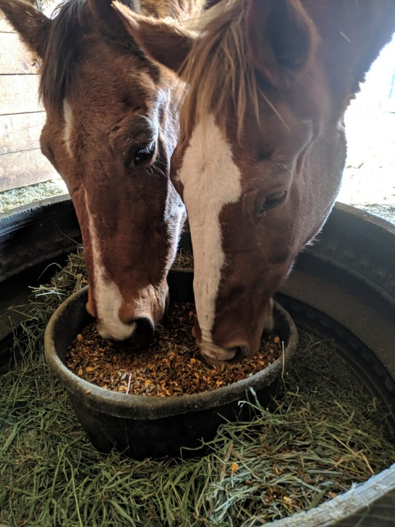 hawkeye.sherman.eating