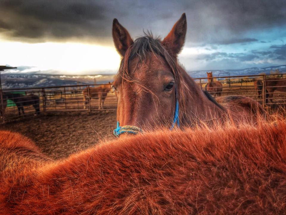 sadie.sunset.photo