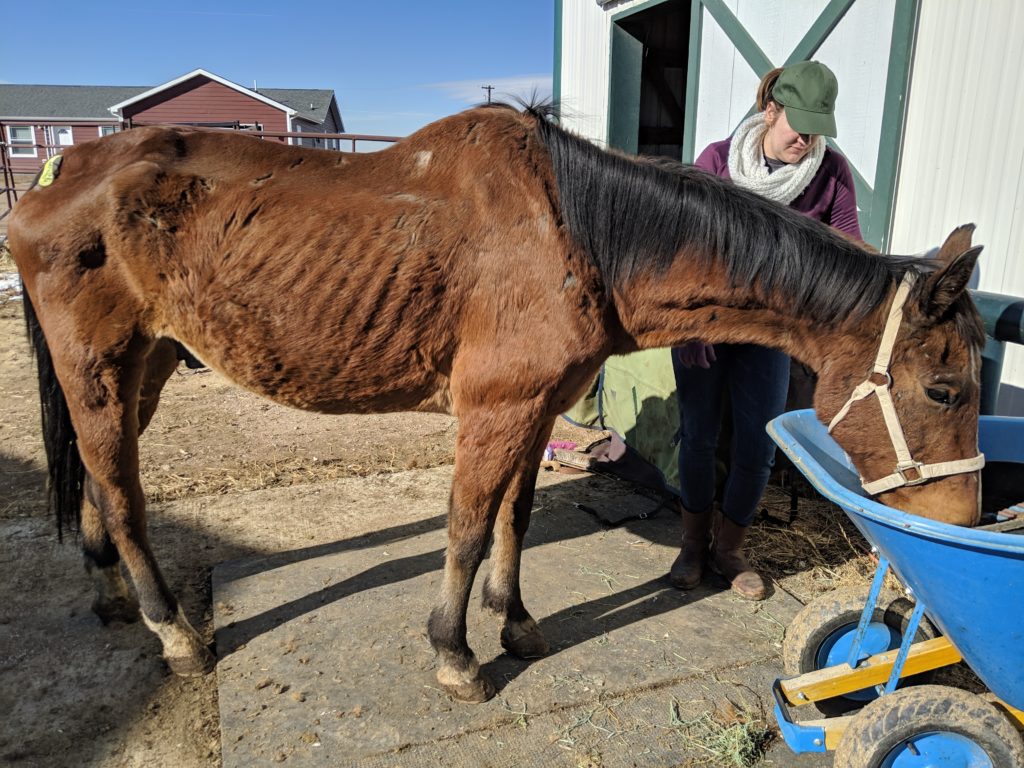 sherman.eating.nov2019