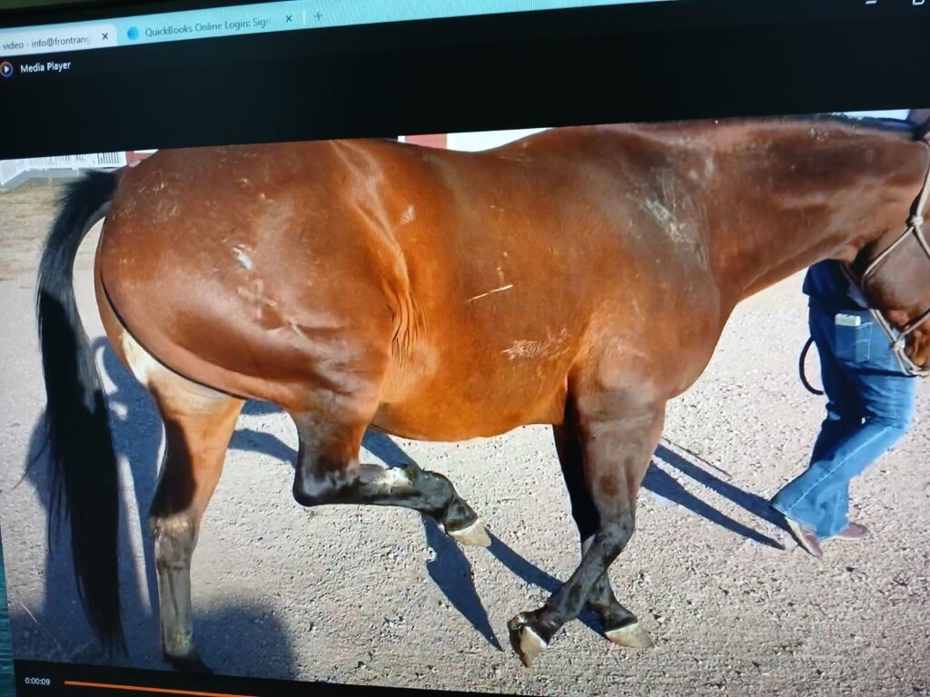 angie.rt.hind.injury.2024