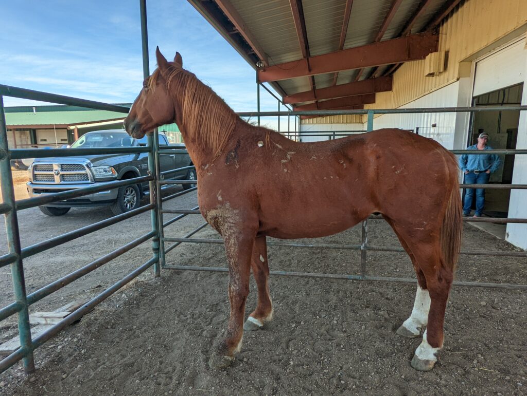 donovan.vet.clinic.oct2024