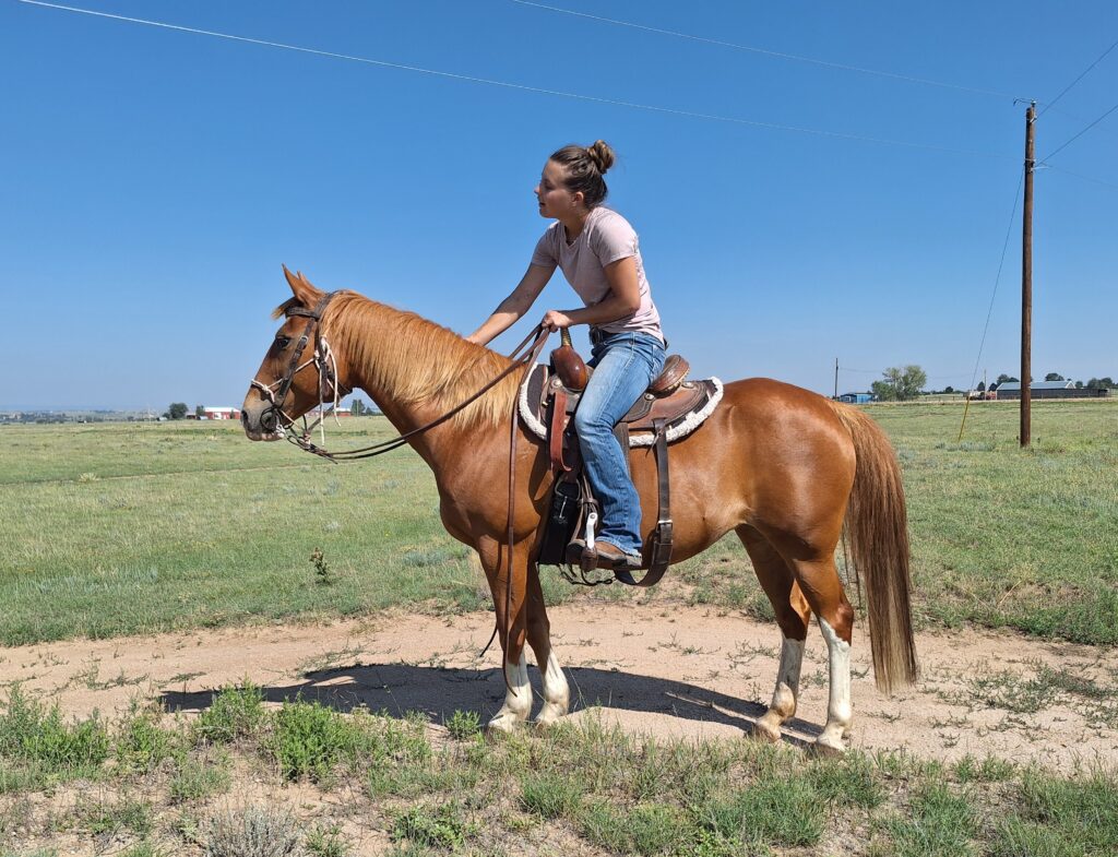 Honey.rider.aug2026