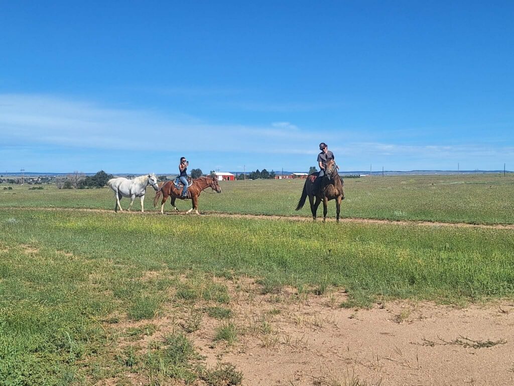 Honey.rider.ponies.Greyson