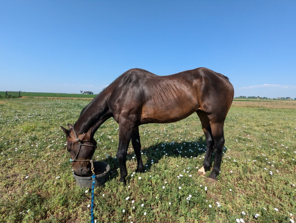 River.pasture.left.front