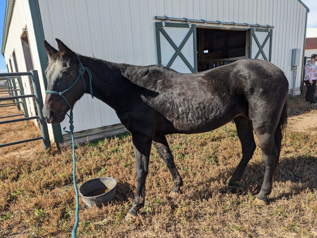 Adelle.feeding.time.oct2025