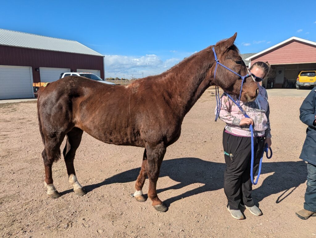 Laurel.post.rescue.oct2025