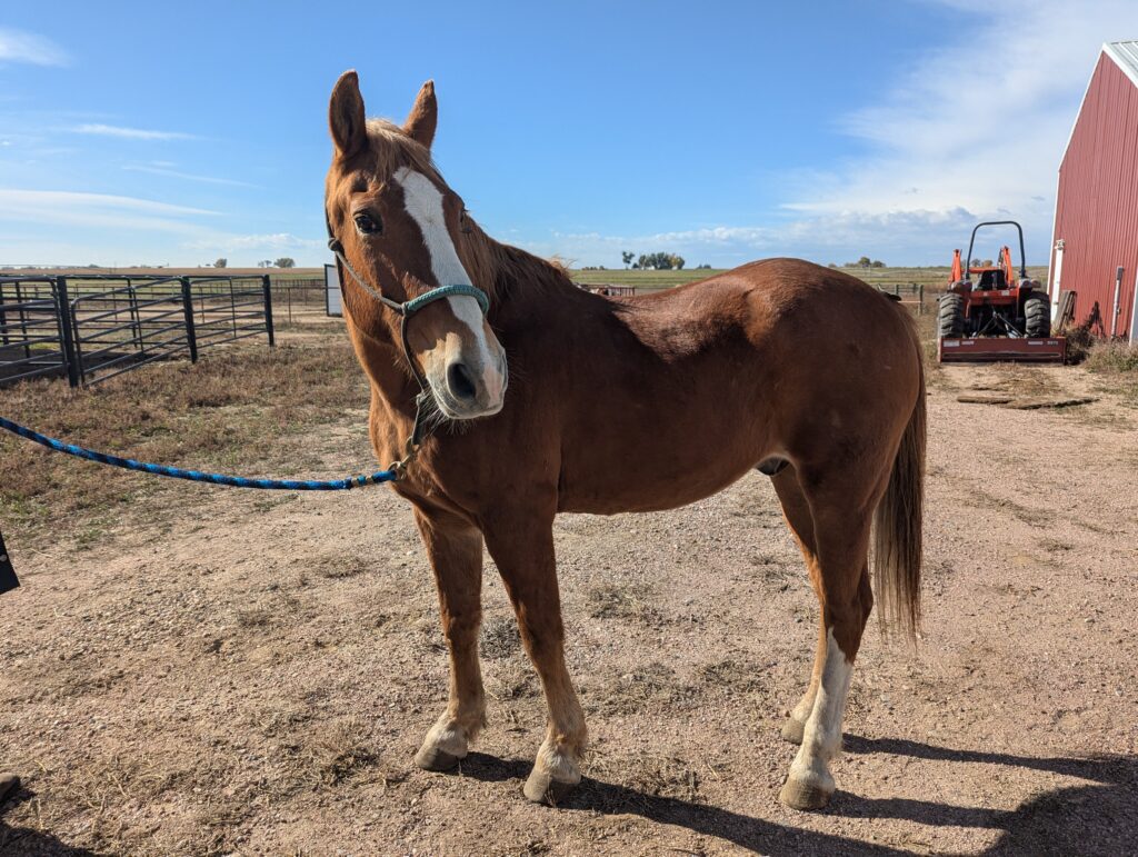 Max.post.rescue.oct2025