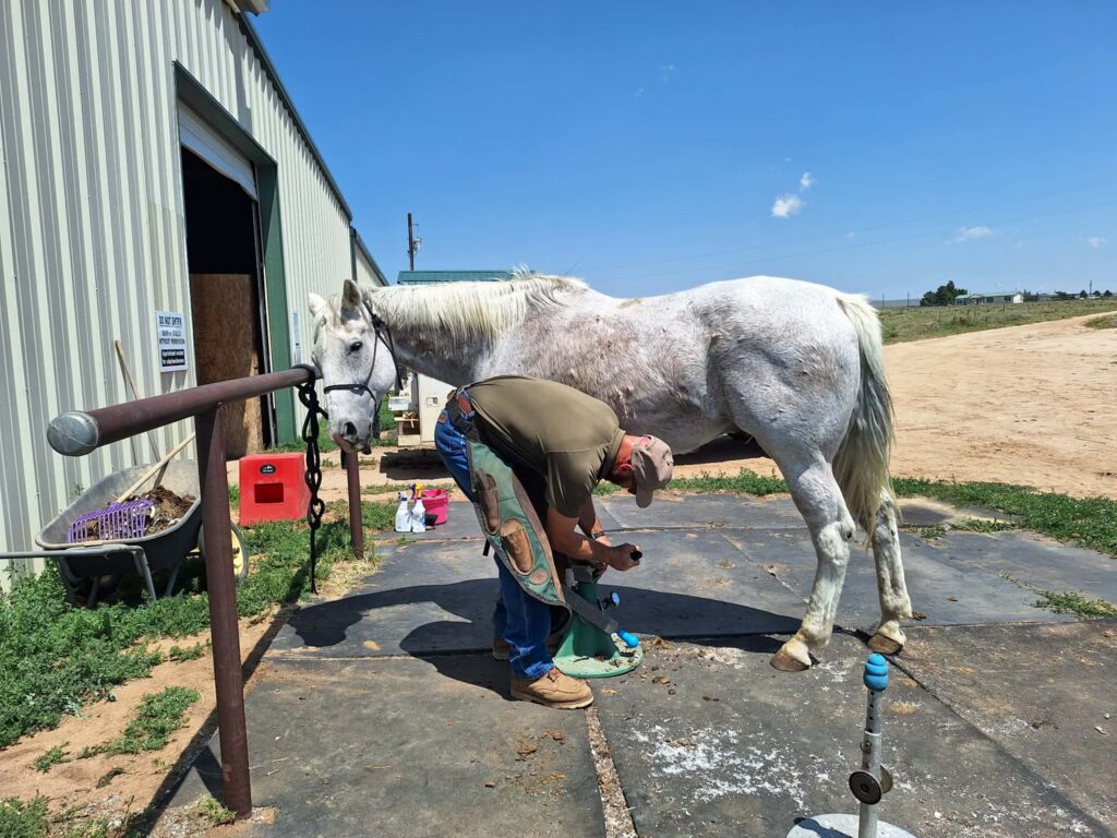 Samson.farrier.aug2026