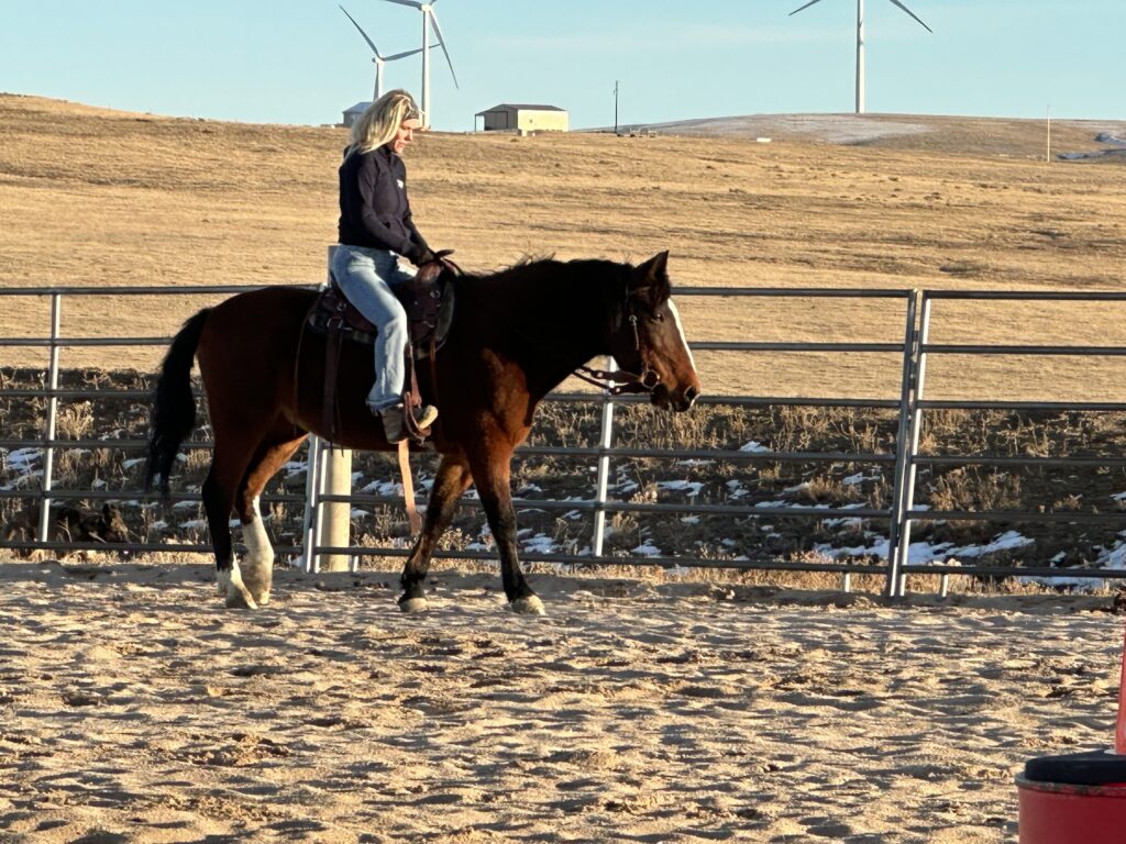 map.horse.rider.2025