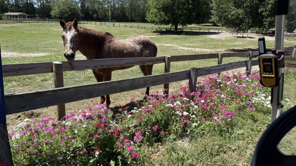 retirement.home.for.horses.roan.2026